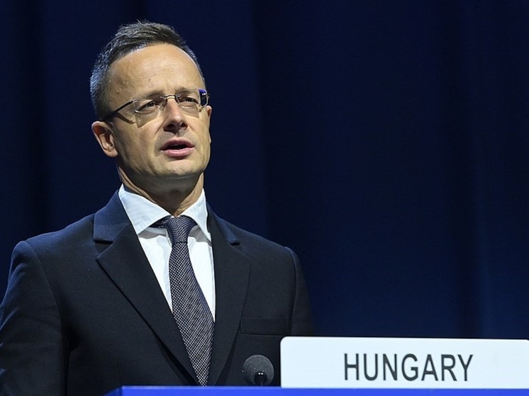 Сийярто порекомендовал США не давить на Венгрию в вопросе НАТО и Швеции