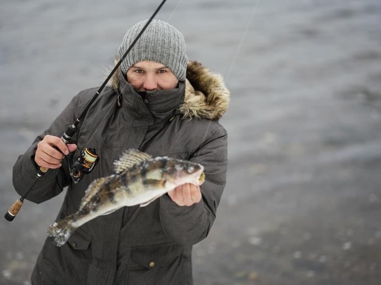 На севере Красноярского края у браконьеров изъяли рыбу на 498 млн рублей