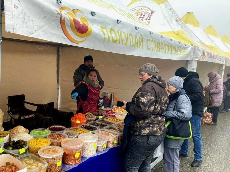 Для жителей Ставрополья проведут 50 тысяч продуктовых ярмарок в 2024 году