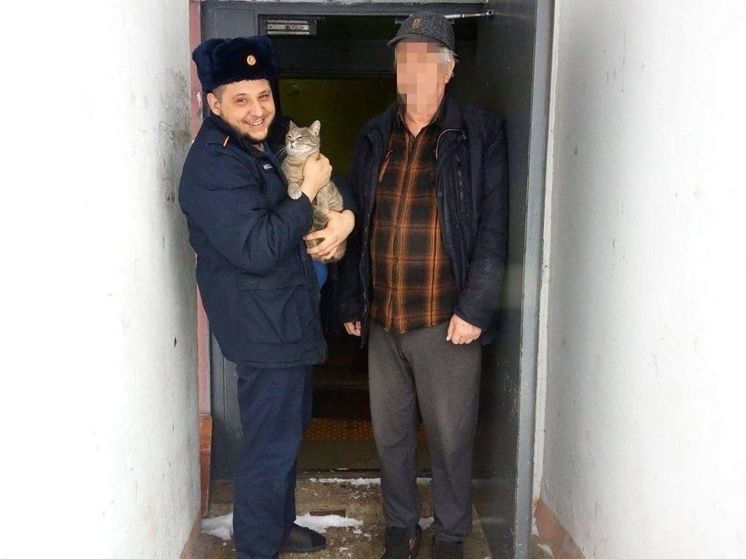 Спасатели Чехова достали кота из вентиляционной шахты пятиэтажки