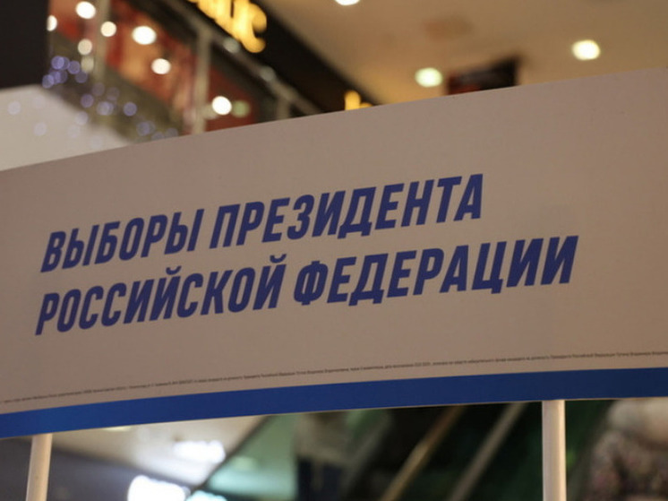 Предвыборный поквартирный обход избирателей стартовал в Калининграде