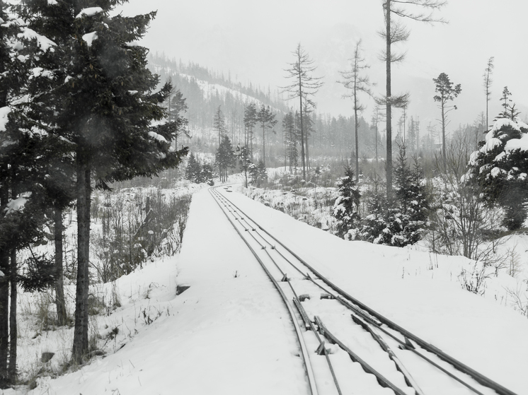 Поезд опоздал в Костомукшу минимум на 2 часа из-за метели