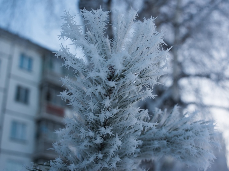 При прояснениях до -42 °С: в ночь на 18 февраля в Томской области ожидается мороз