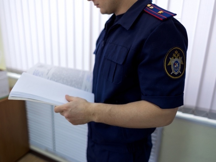 Более 3 млн рублей задолжал директор фирмы работникам