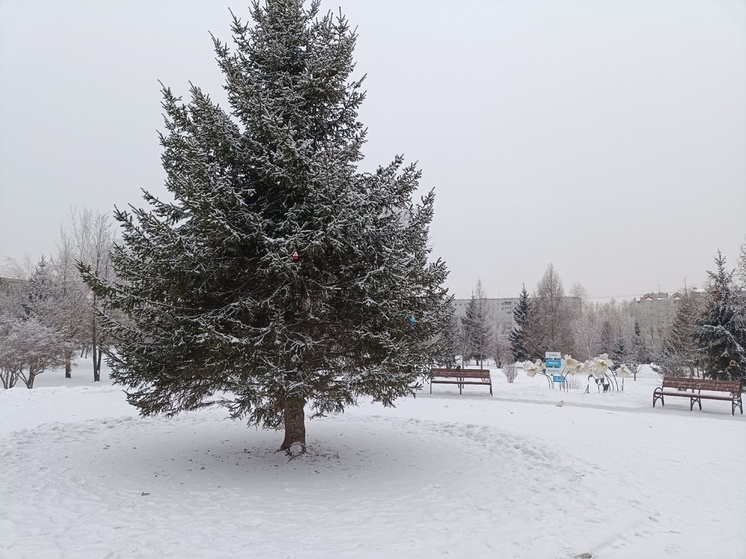В Хакасии ожидается морозная погода