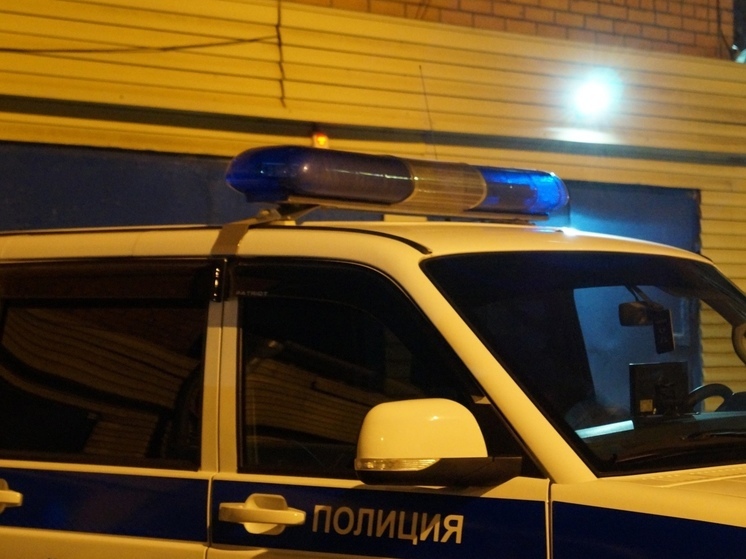 Футболиста из Новосибирска заключили под стражу после смертельного ДТП со студеном 31 декабря