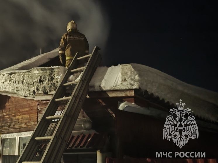 Во время пожара в Тверской области погибла женщина