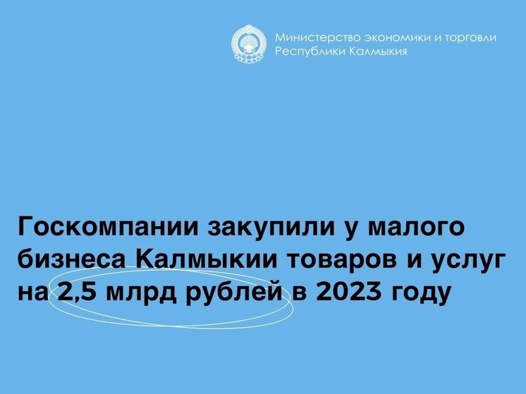 Госкомпании закупают все больше товаров и услуг у малого бизнеса Калмыкии
