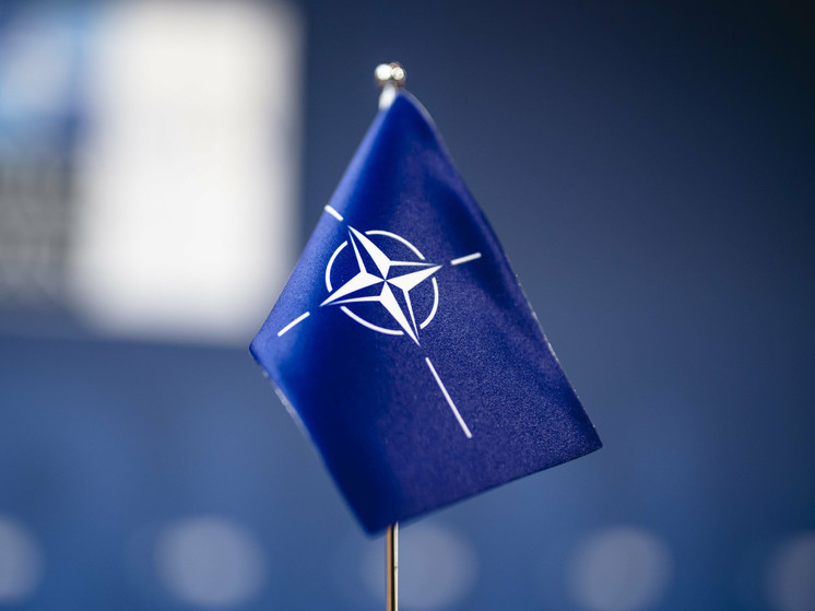В МИД Италии назвали "опасным для всех" ускоренное вступление Украины в НАТО