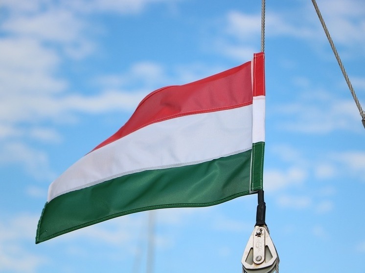 Орбан: венгерский парламент может ратифицировать членство Швеции в НАТО весной