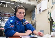 Российские космонавты Анна Кикина и Андрей Федяев могут остаться без званий Героев России