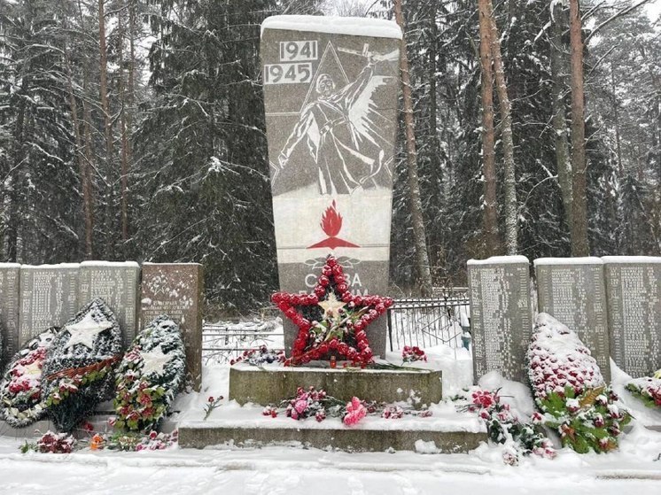 Плюсский район отмечает 80-ю годовщину освобождения от фашистов