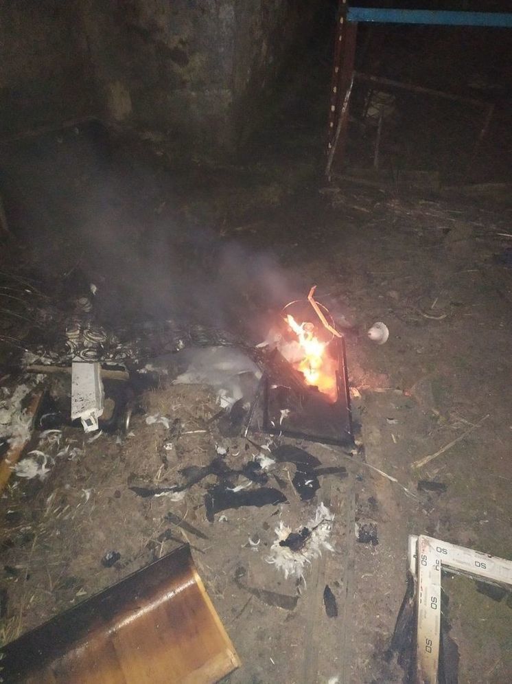 В Горностаевском округе на Херсонщине случился пожар