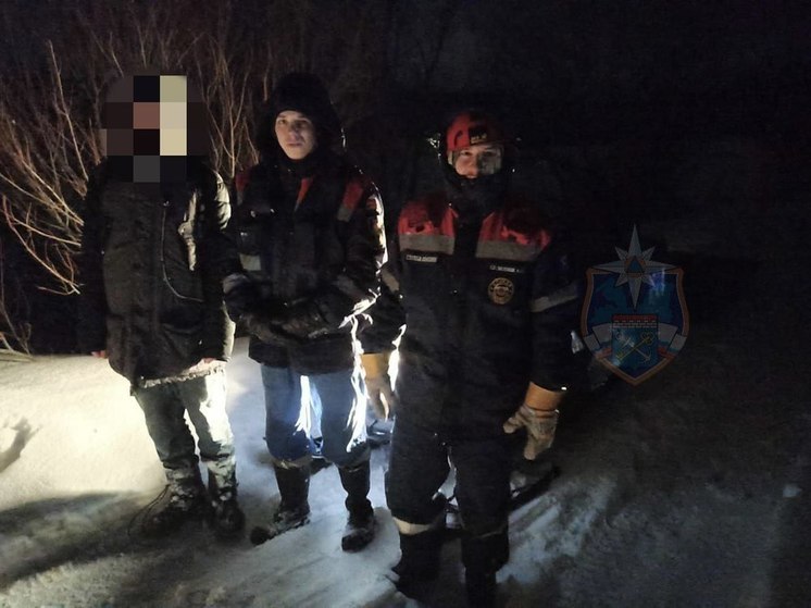 Спасатели вывели из леса около Щеглово заблудившегося мужчину
