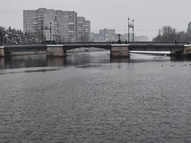 В Калининграде спасли тонущего в реке мужчину