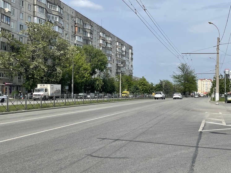 В Крыму проводят кампанию по озеленению полосы отводов автодорог