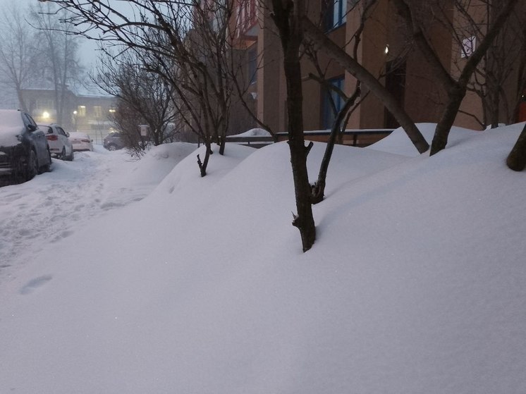 23 февраля в Подмосковье ожидается оттепель