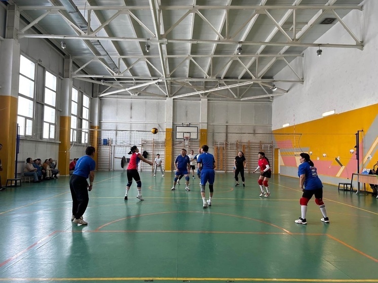 К юбилею ветерана спорта прошли состязания по волейболу среди педагогов