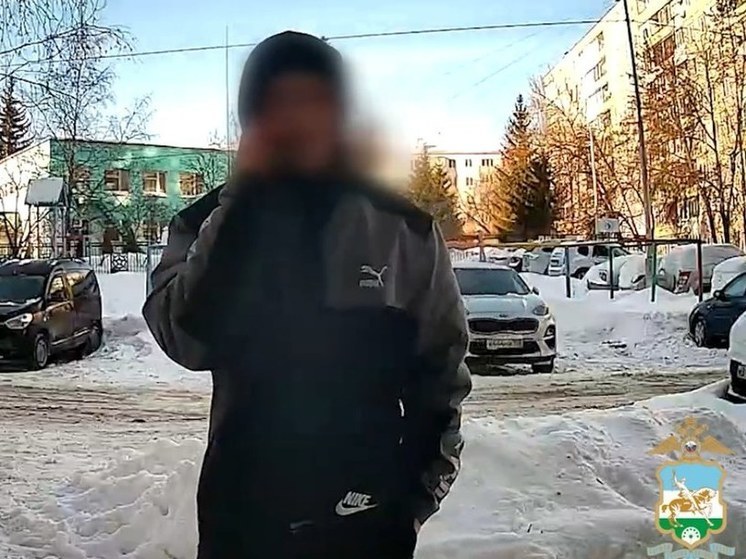 Полиция Башкирии задержала курьера, забравшего у пенсионерок почти млн рублей