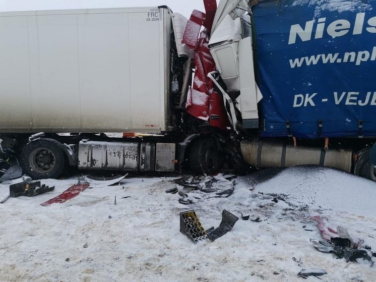 В Костромской области водитель Лады спровоцировал смертельное ДТП двух фур