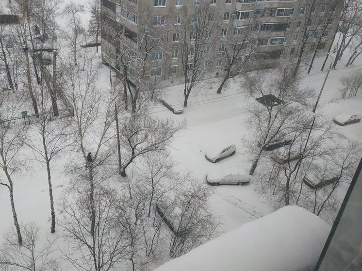 В Хабаровске 19 февраля днем ожидается потепление