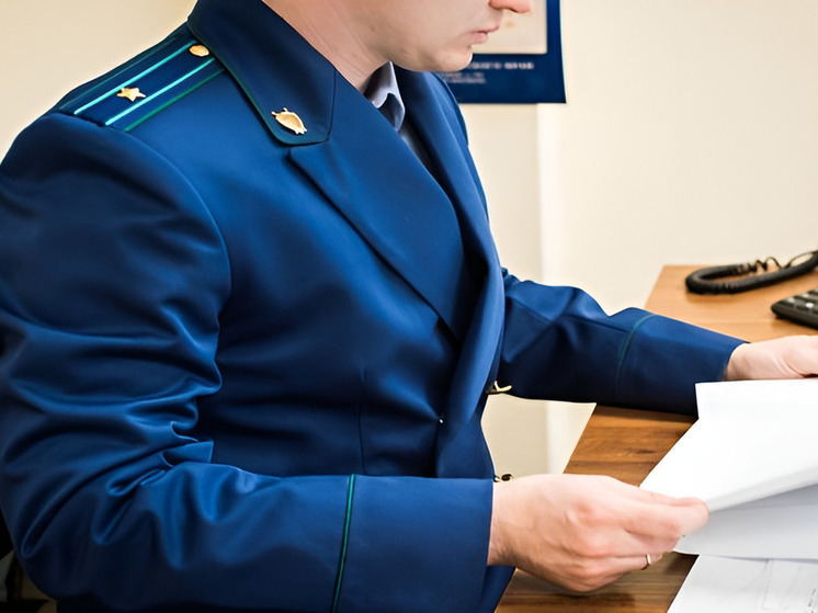 Мурманская прокуратура проведет проверку после нападения мужчины на ребенка