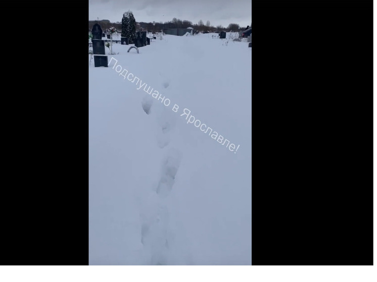 В Ярославле на Осташинском кладбище случился снежный коллапс
