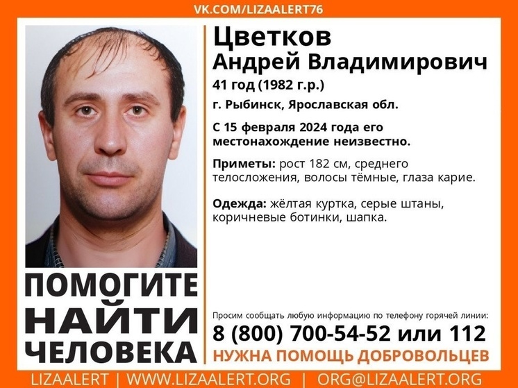 В Рыбинске уже несколько дней не могут найти мужчину в желтой куртке