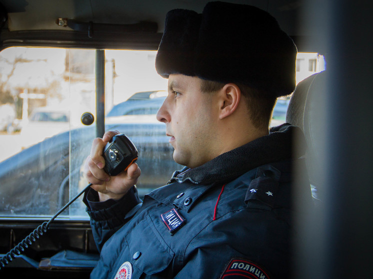 Пьяный житель Пензенской области угнал авто своей падчерицы, чтобы навестить товарища