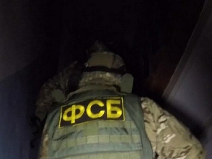ФСБ задержала жителя Ижевска за работу на украинские спецслужбы