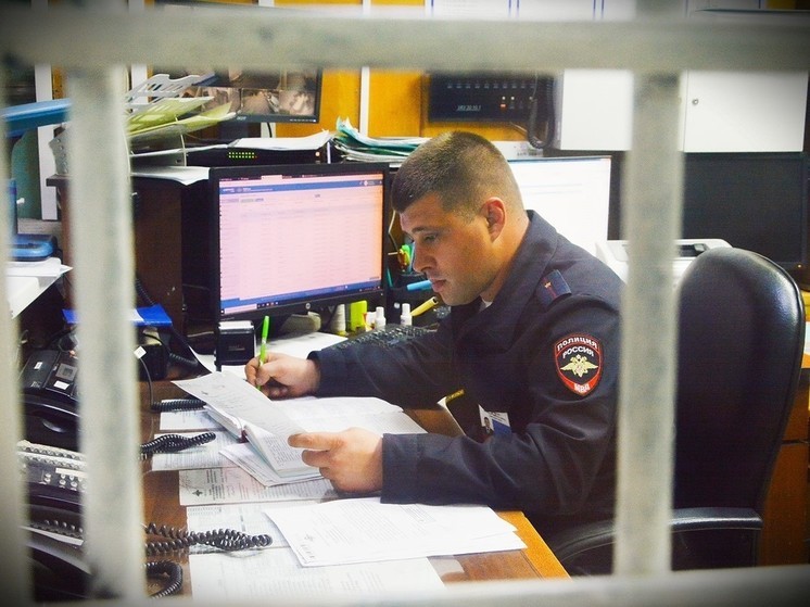 Двое молодых людей из Башкортостана подожгли дом жителя Пензенской области за 100 тысяч рублей
