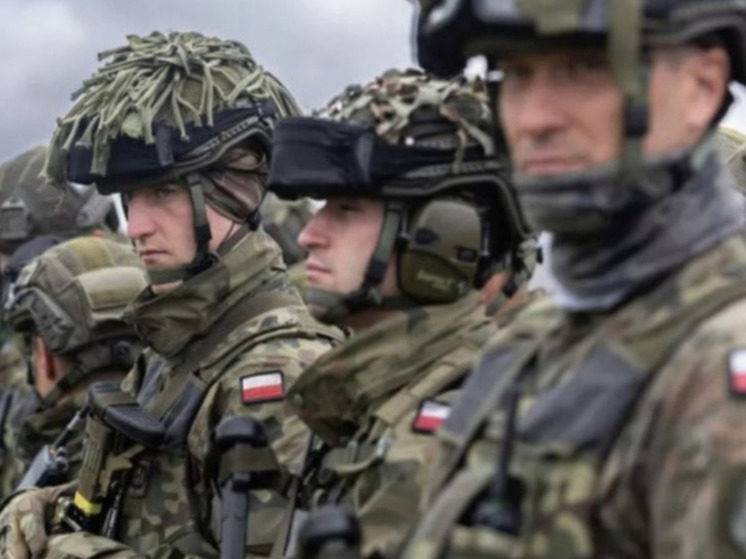Замминистра обороны Польши выступил против размещения ядерного оружия в стране
