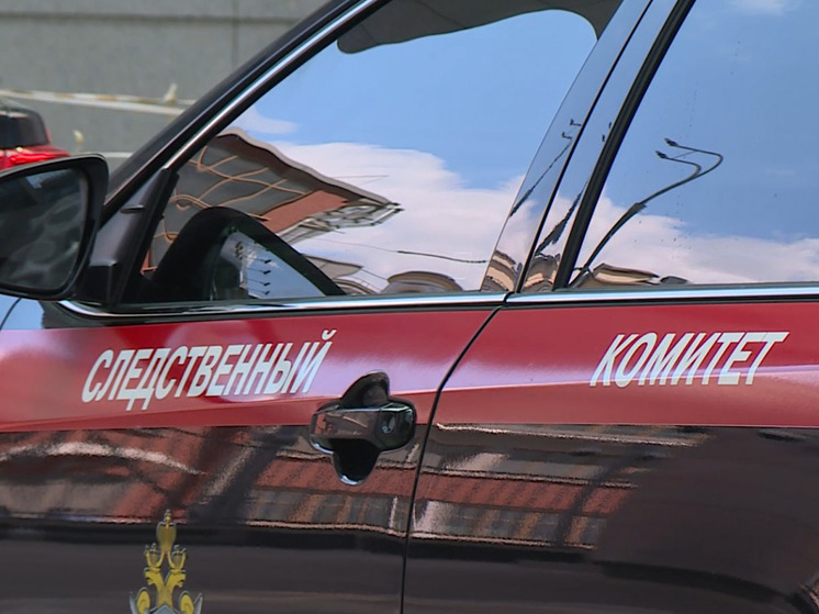Александр Бастрыкин обеспокоен ситуацией внутри Музыкального микрорайона