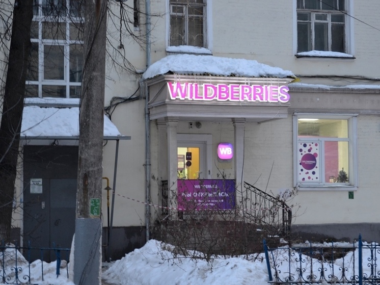 Блогер бесплатно отработал 75 часов на тульском Wildberries из-за трусов