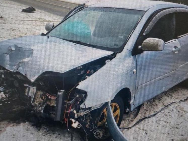 В Путятинском районе Toyota врезалась в столб, пострадали водитель и двое детей