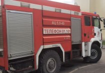Из-за пожара в квартире на Ленинском проспекте эвакуировали пять человек. Среди них есть один ребенок, сообщили в ГУ МЧС по Петербургу.