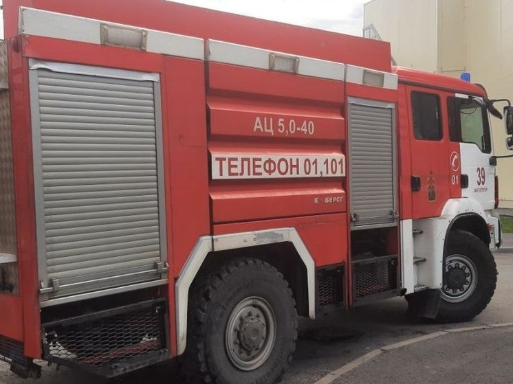 Пять человек эвакуировали из-за пожара в квартире на Ленинском проспекте