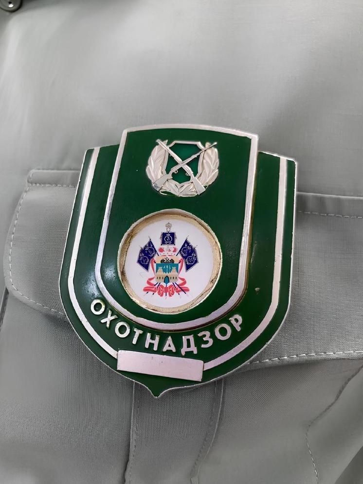 В Туапсинском районе ищут браконьеров, убивших кабанов на территории ООПТ