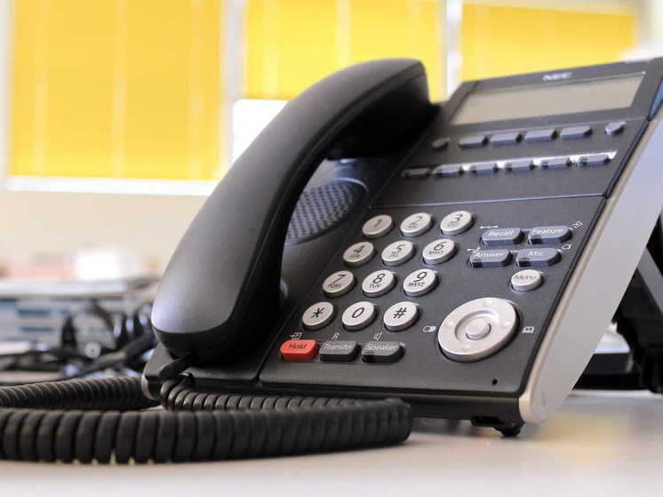 Власти ДНР намерены провести проверку горячих линий