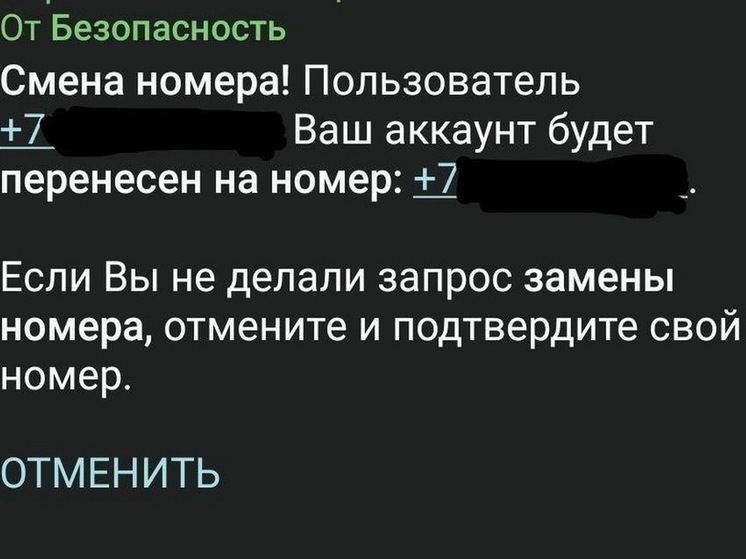 В Курске сообщили о новом виде мошенничества в Telegram