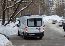 Семилетняя девочка серьезно пострадала в Москве, во время игры с прыжками в сугроб