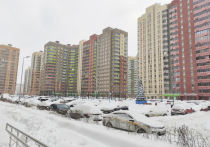 В минувшем январе из-за подорожавшей ипотеки и «перегретых» цен на вторичном рынке жилья старой Москвы покупатели начали уходить в Новую Москву и Подмосковье