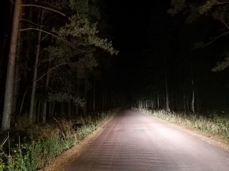 За неделю спасатели вывели из лесов Ленобласти двух человек