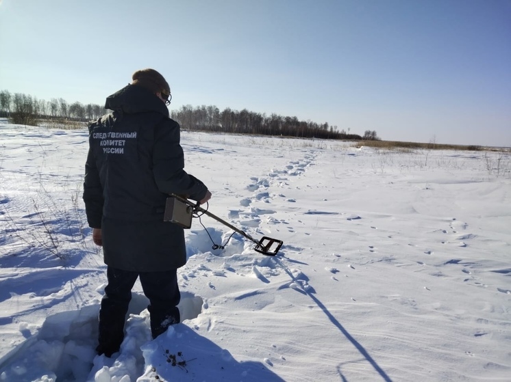Курганец, по данным следствия, зарубил женщину топором и сбросил тело в колодец