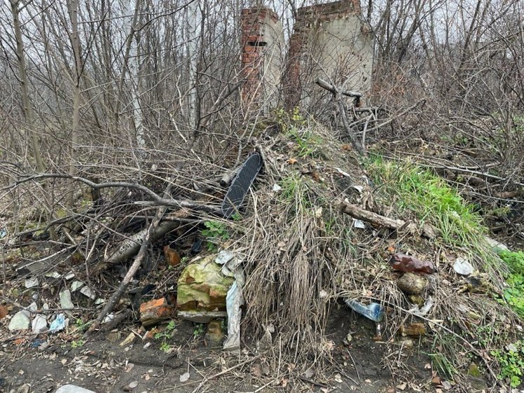 В Курске Минприроды подало в суд на фирму за несанкционированную свалку в ЖАО
