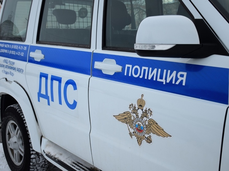 За неделю на дорогах НАО были задержаны два пьяных водителя