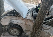 Утром 19 февраля на въезде в село Элекмонар Чемальского района произошло ДТП. Автомобиль ГАЗ 31105 съехал в кювет и врезался в дерево.
