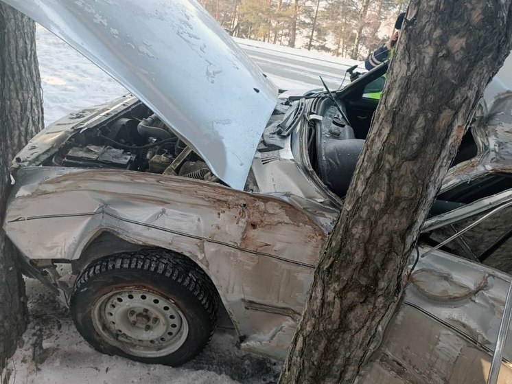 На Алтае 19-летний водитель «Волги» врезался в дерево
