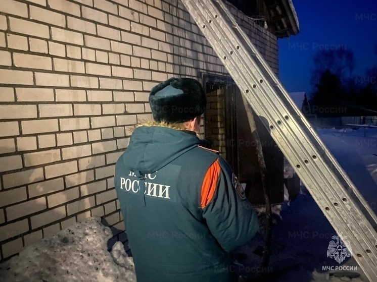 За неделю костромские пожарные 31 раз выезжали на возгорания