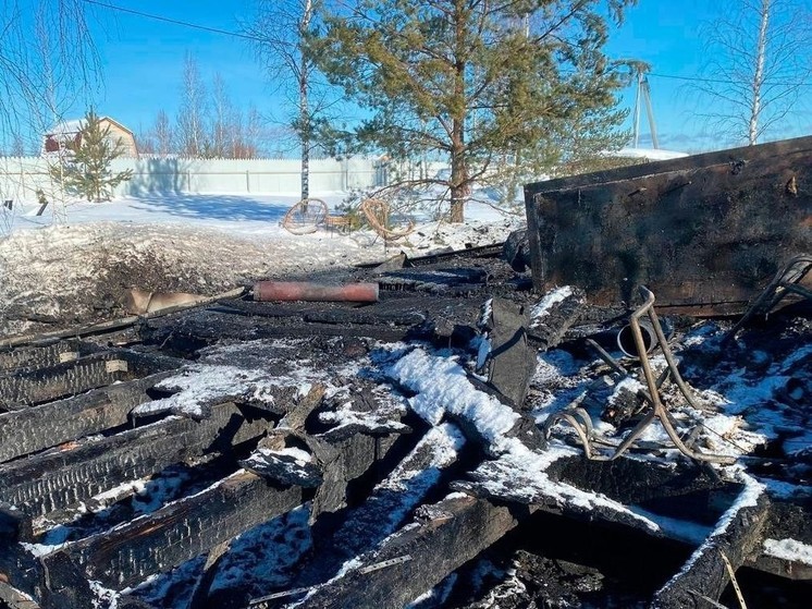 Двое детей получили ожоги на пожаре в Рузском округе
